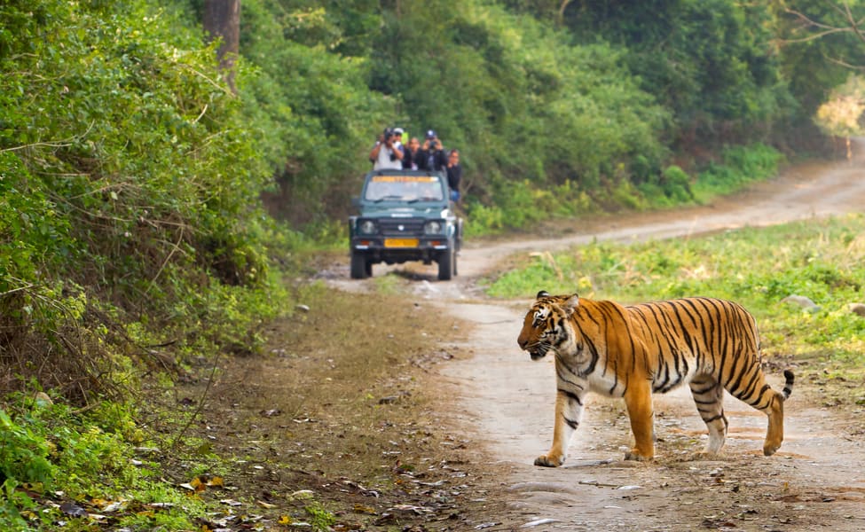 dehradun to jim corbett taxi service